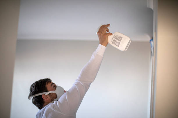 Home Mold Removal in Elko, NV